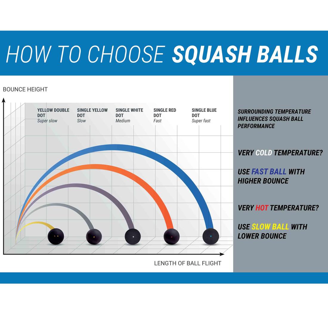 IMG_8649081_4