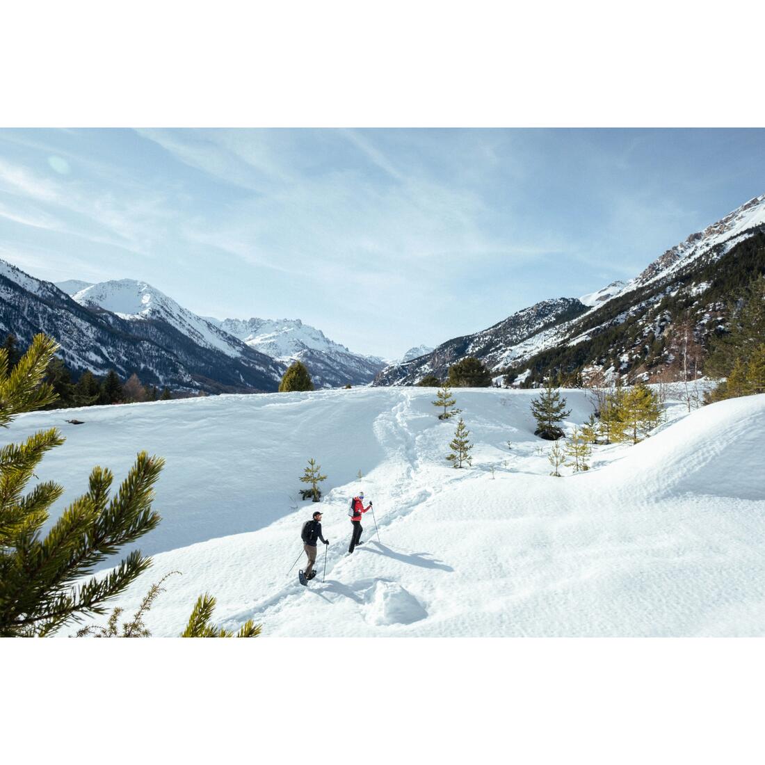 IMG_8582596_11