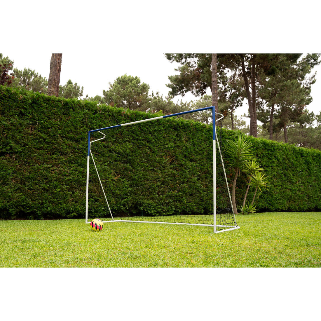 IMG_8911560_6