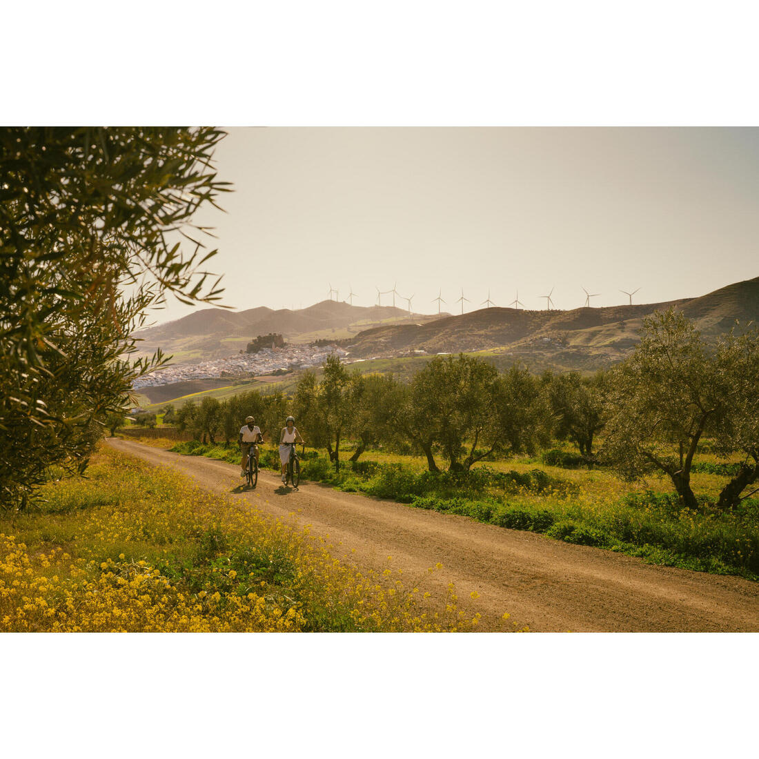 IMG_8751856_21