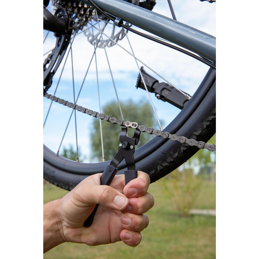 IMG_8938264_6