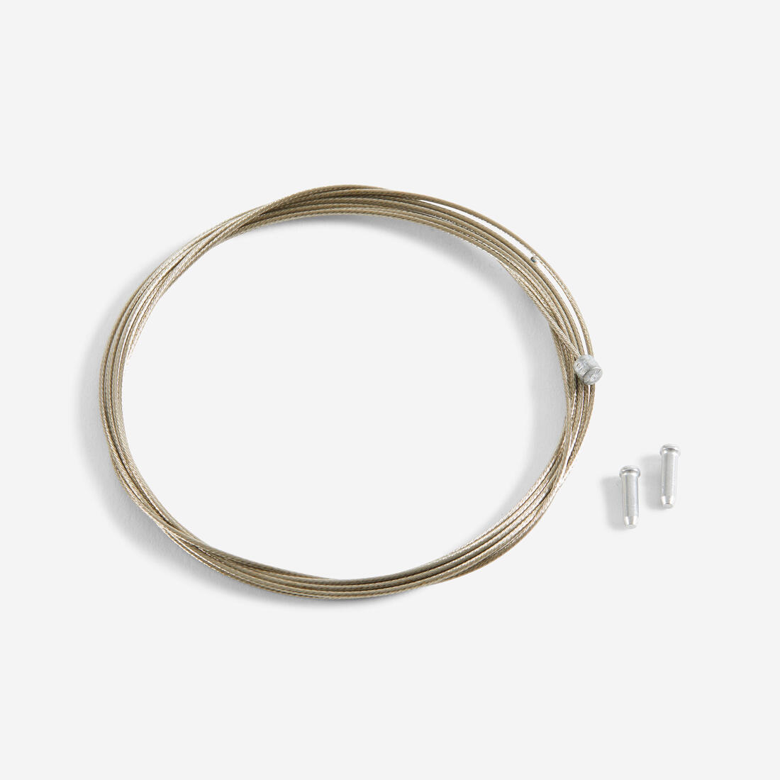 IMG_8555635_1