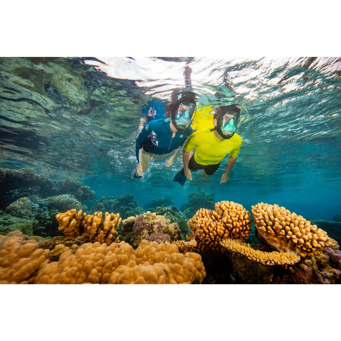 IMG_8528540_13
