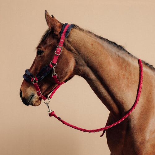 





Horse Riding Halter + Leadrope Kit for Horse & Pony Comfort