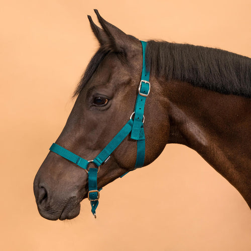 





Horse Riding Halter for Horse and Pony Schooling