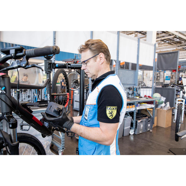 electric bike servicing near me