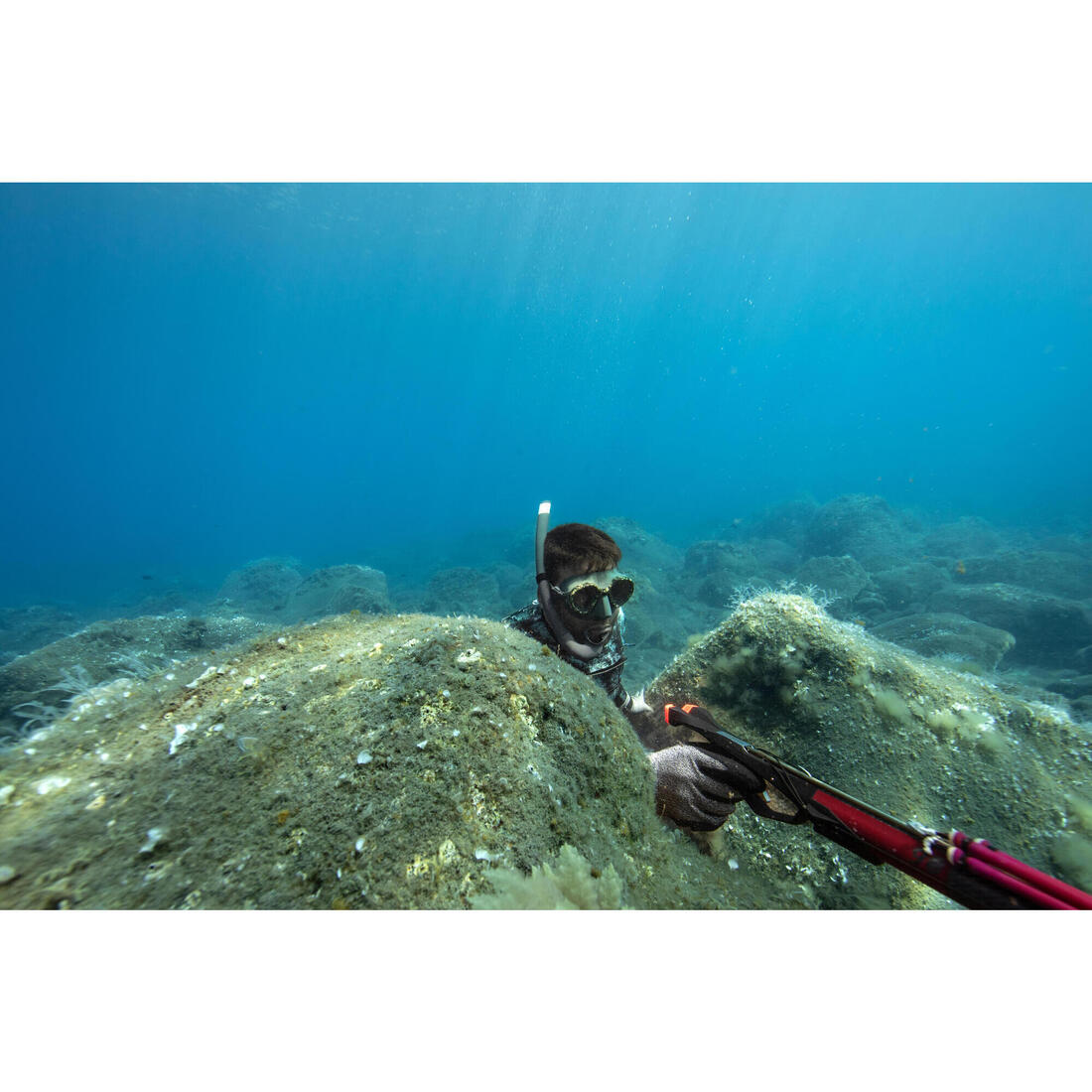 IMG_8930588_11