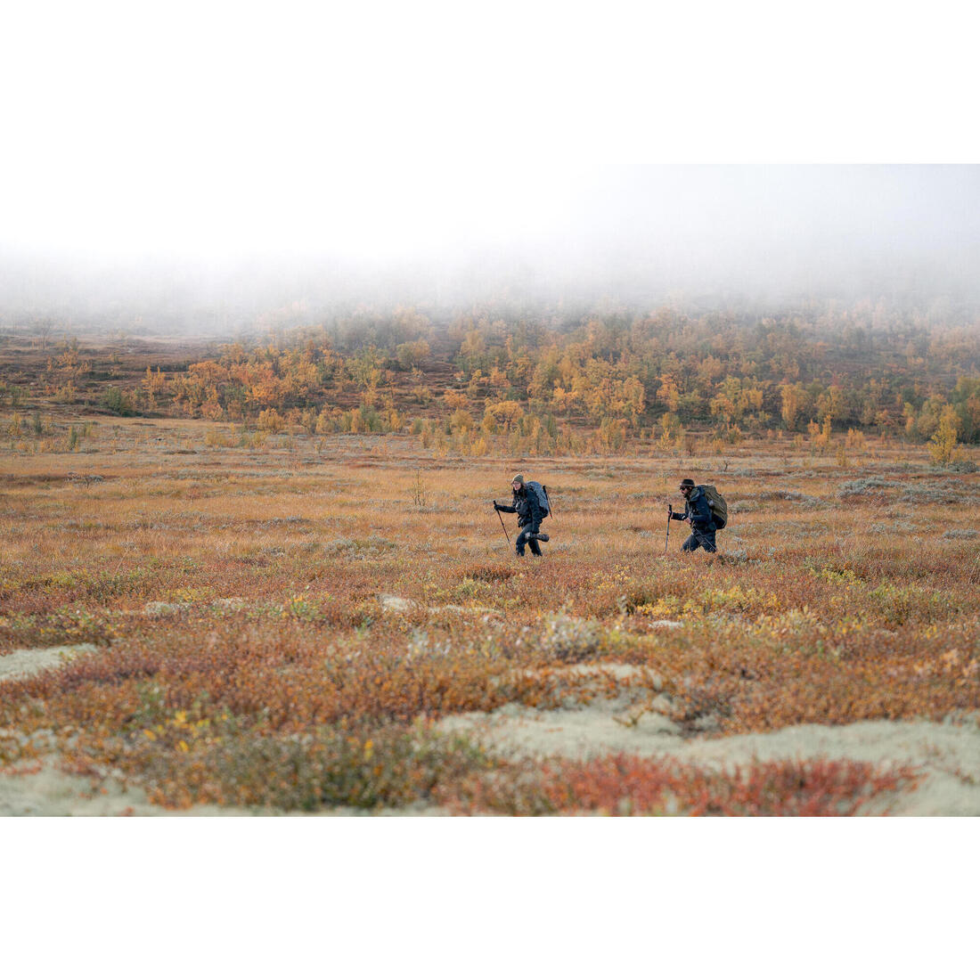 IMG_8978309_13