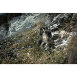Product thumbnail 8 of 9