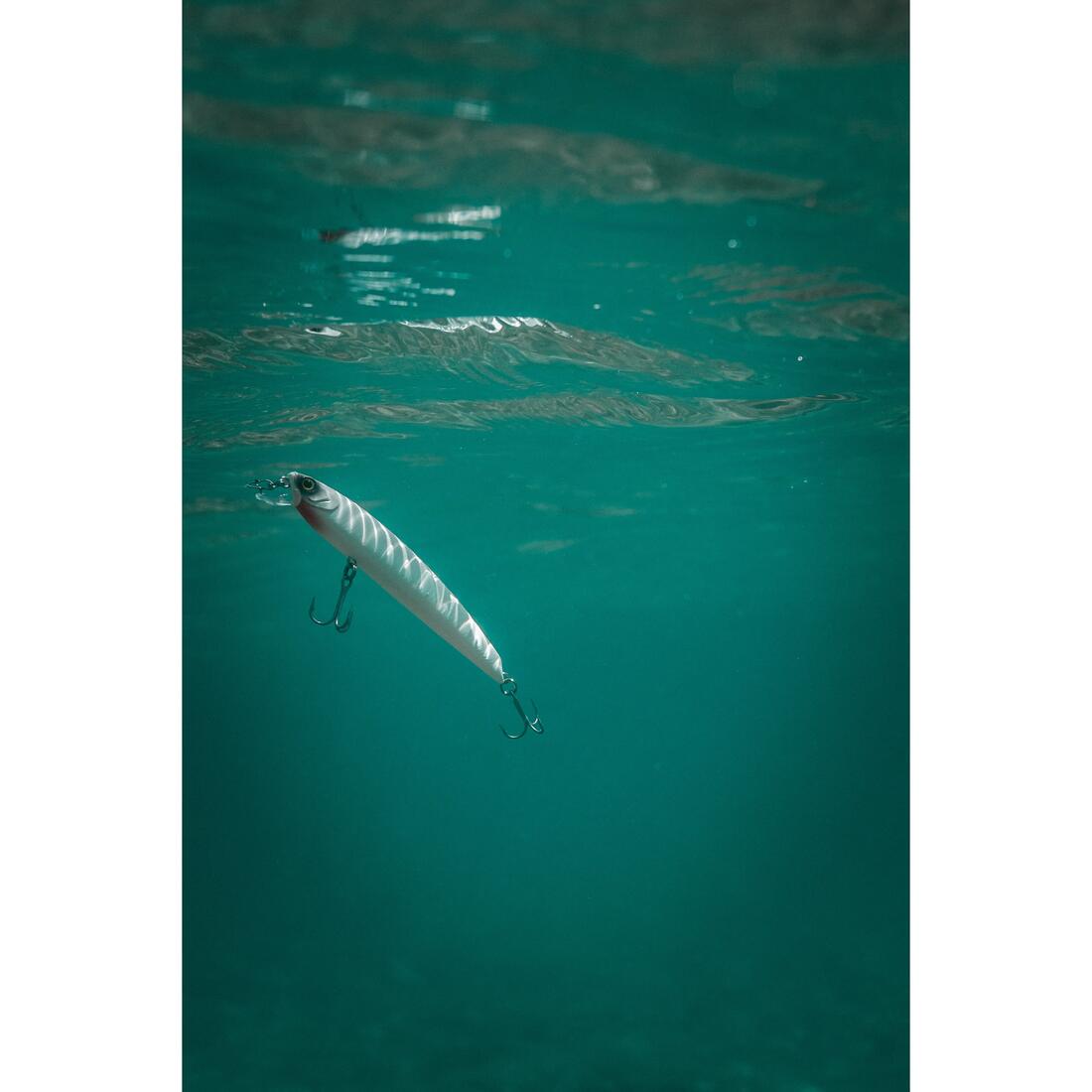 IMG_8606228_6