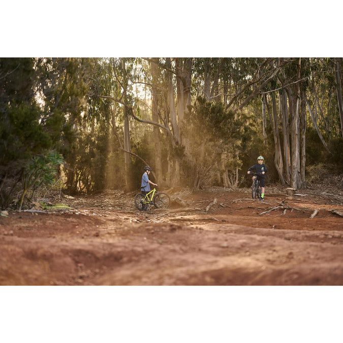 





Image, photo 13 of 21