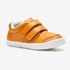 ochre