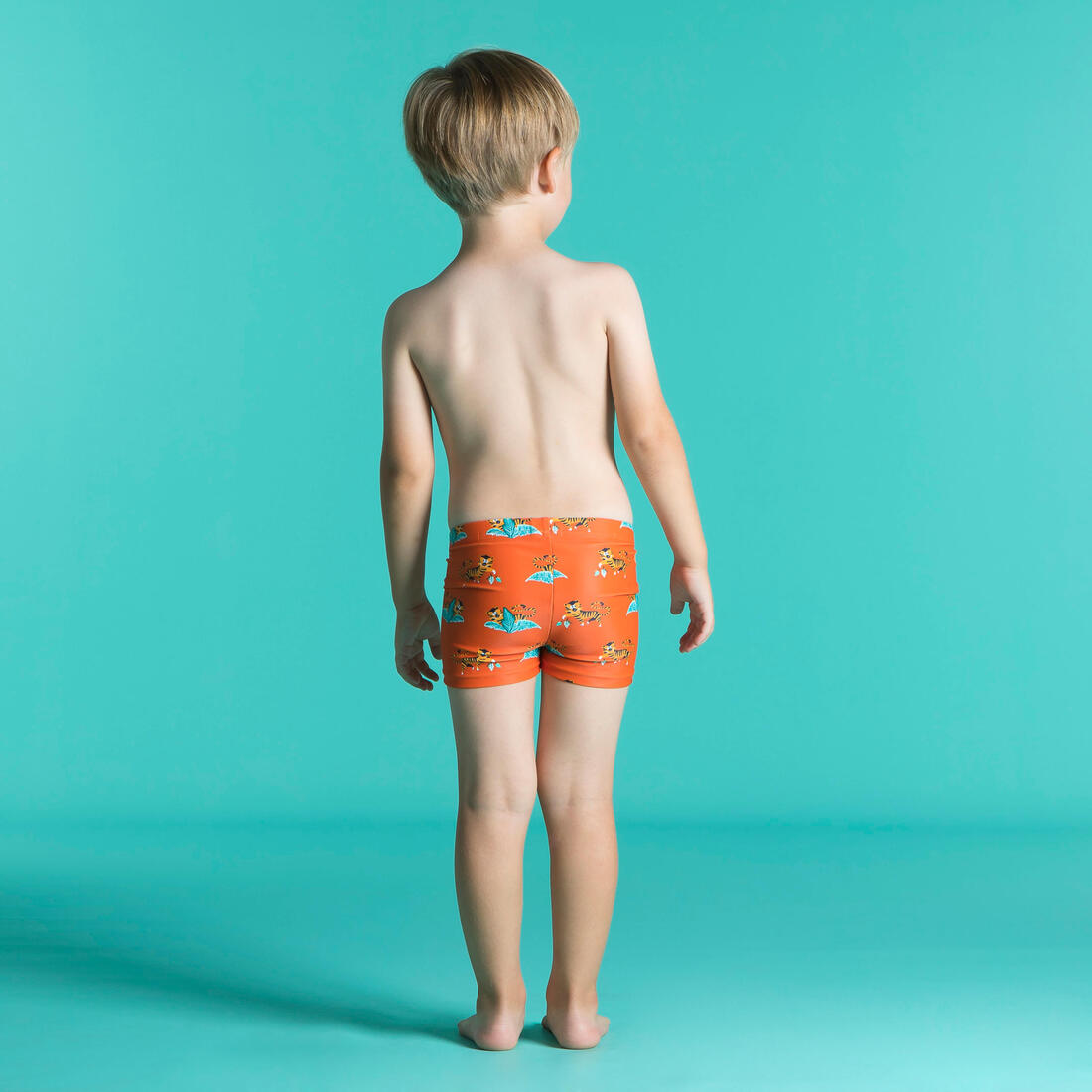 IMG_8732471_1