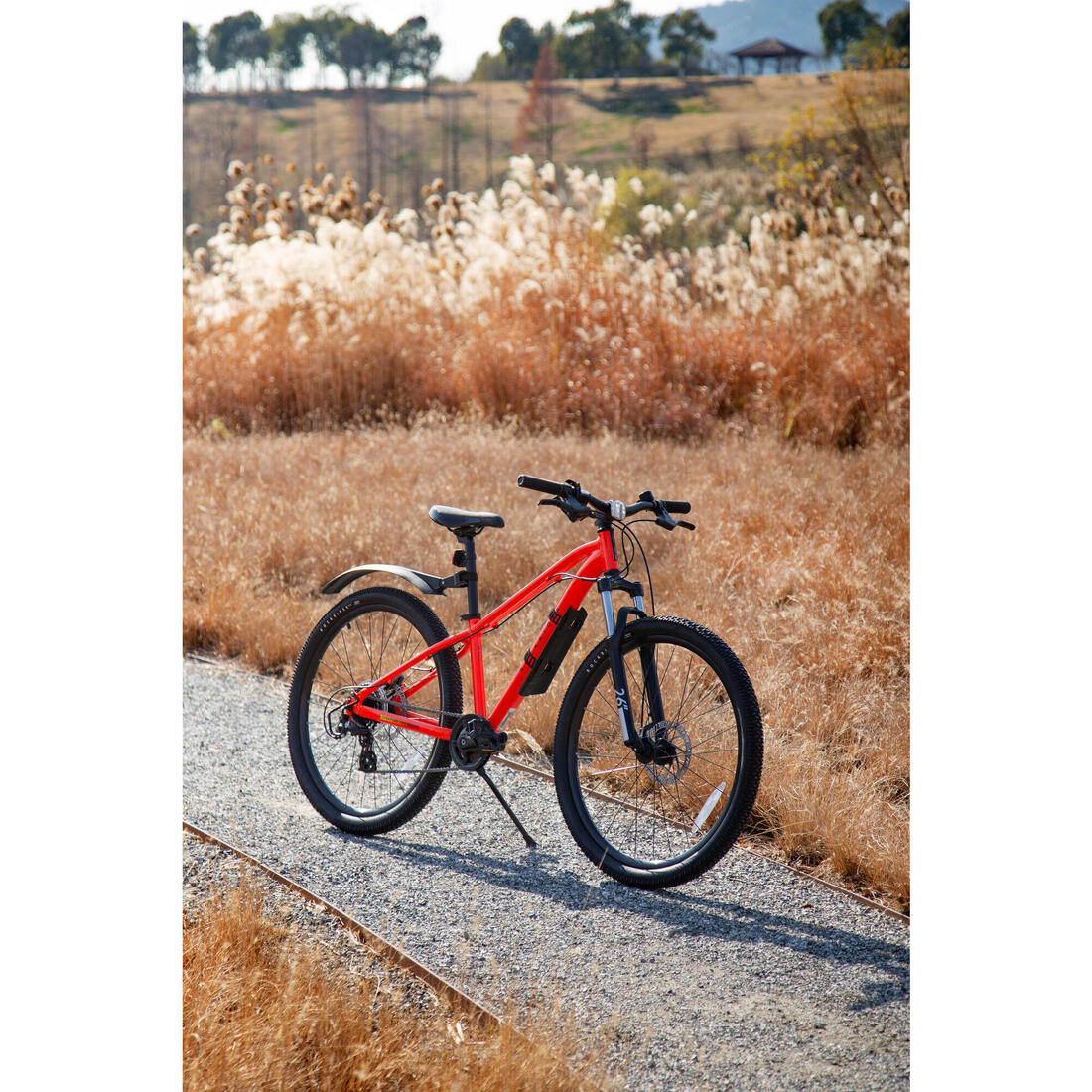 IMG_8615206_6