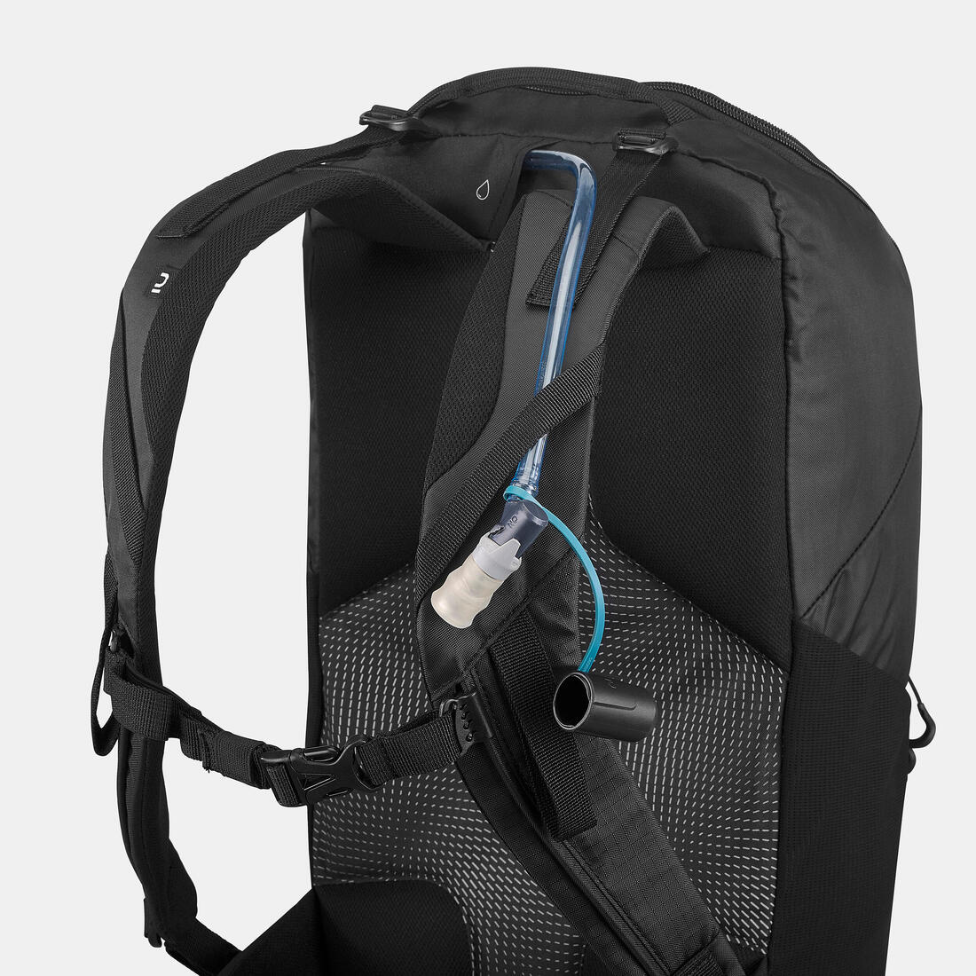 IMG_8649476_12