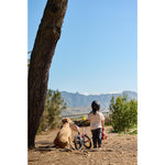 Product thumbnail 7 of 12