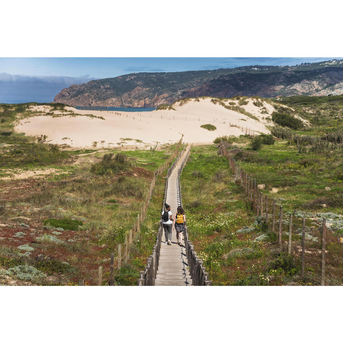 IMG_8775634_15