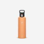 apricot orange