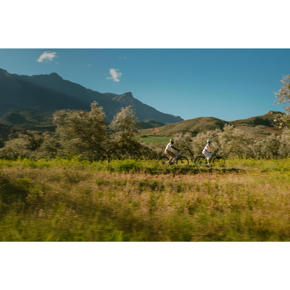 IMG_8751856_8