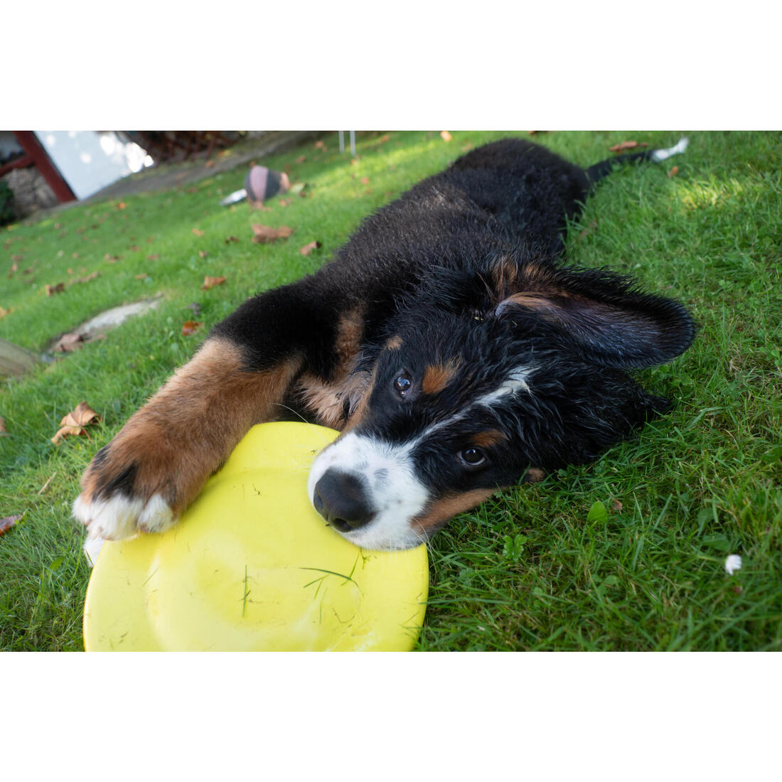 IMG_8654314_7