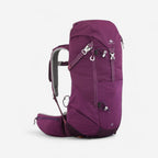 grape purple