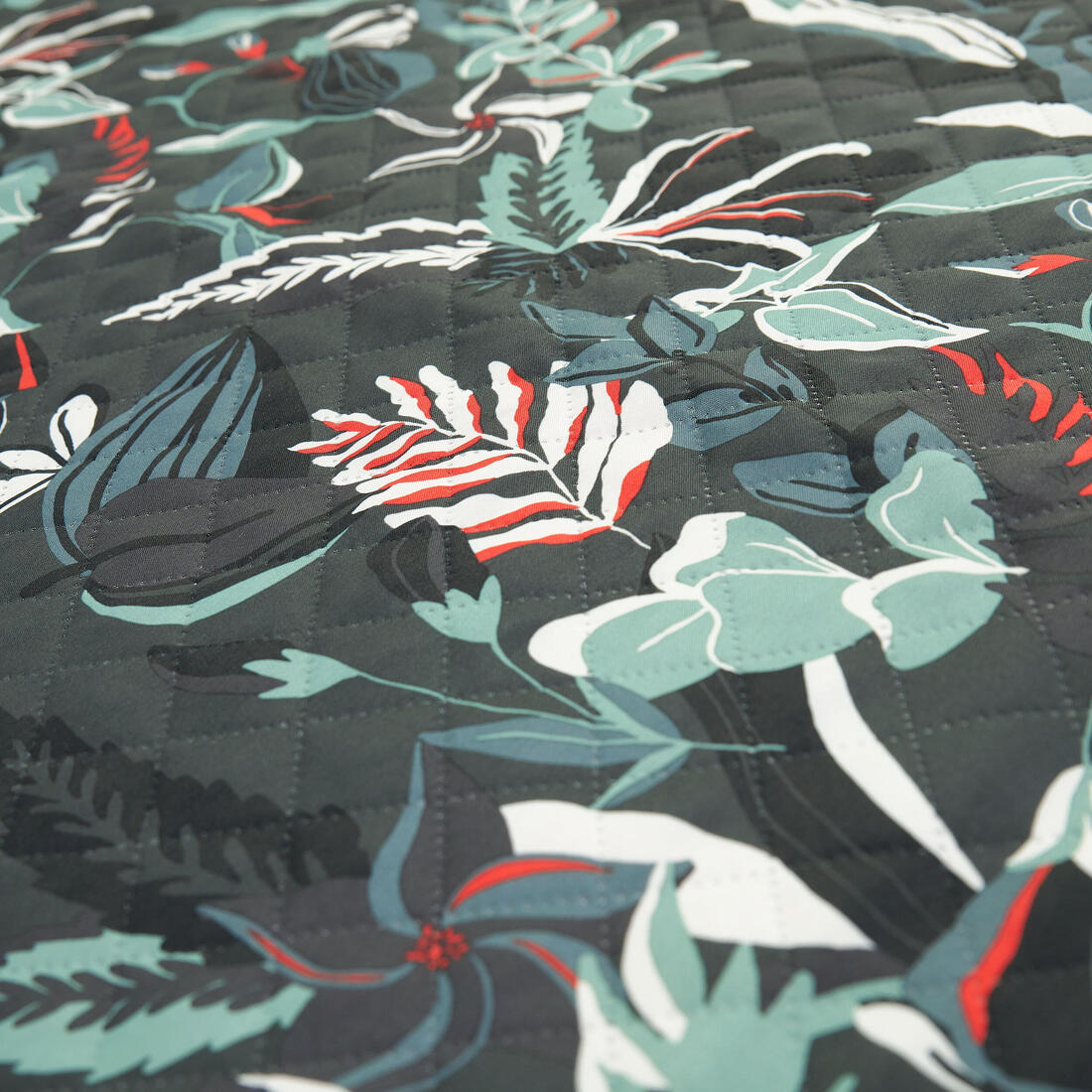 IMG_8852506_3