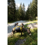 Product thumbnail 6 of 12