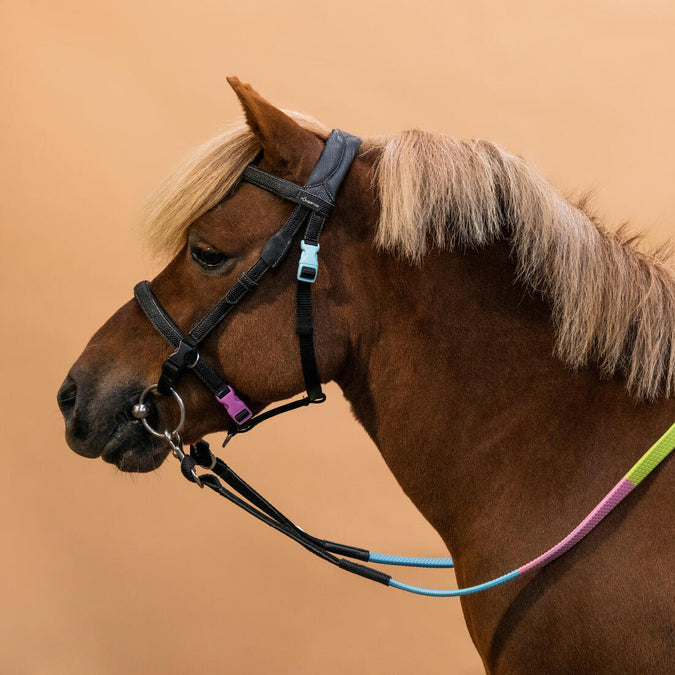 





Horse Riding Synthetic Beginner Pony Bridle and Reins 100 - Black, photo 1 of 7