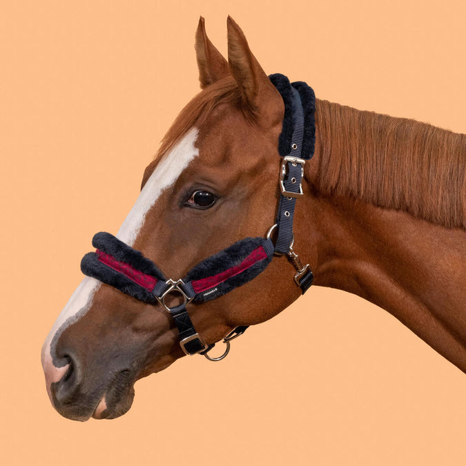 





Pony Riding Halter Comfort - Dark Blue/Deep Pink, photo 1 of 5