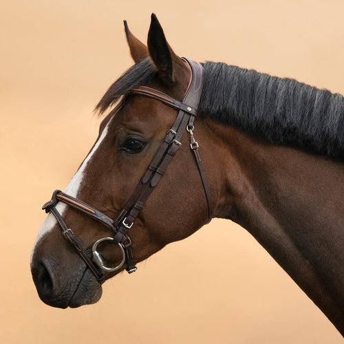 





Horse Riding Leather Bridle With French Noseband for Horse & Pony 580 - Brown