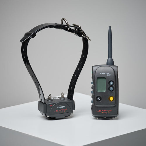 





COLLAR + REMOTE CONTROL PACK FOR DOG TRAINING NUM'AXES CANICOM 800