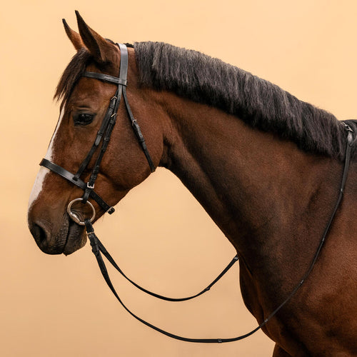 





Horse Riding Leather Bridle With French Noseband & Reins for Horse & Pony 100