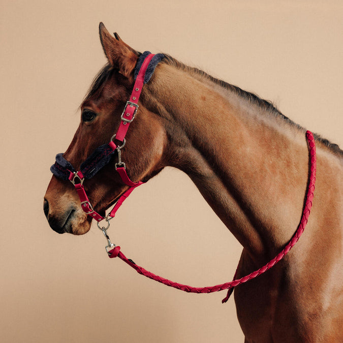 





Horse Riding Halter + Leadrope Kit for Horse & Pony Comfort - Burgundy, photo 1 of 3