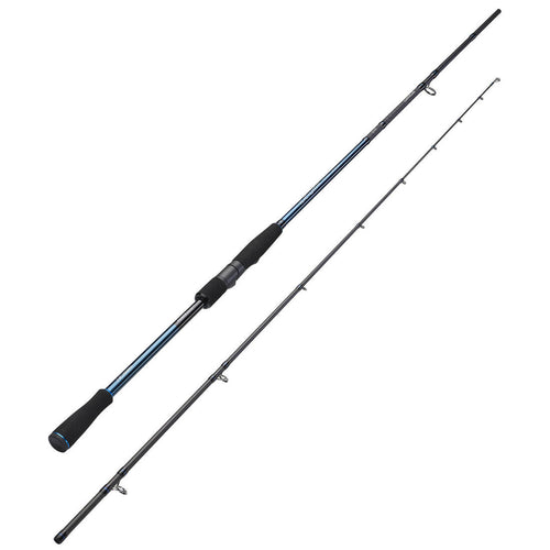 





Sea Lure Fishing Rod ILCIUM-500 210 POWER 20-60 g