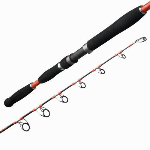 





CLASSIC 5.5 jig rod sea fishing