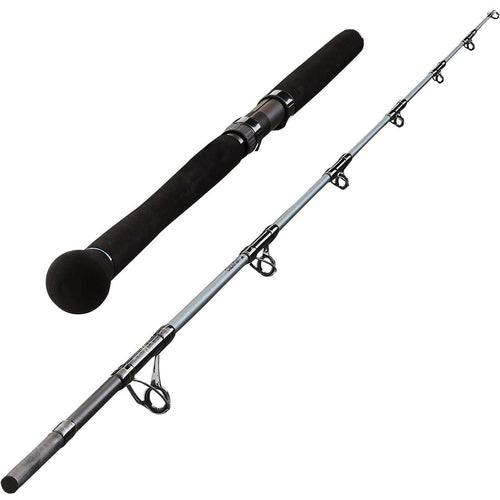 





BIGFIGHT-5 195 80/220 G CATFISH FISHING ROD